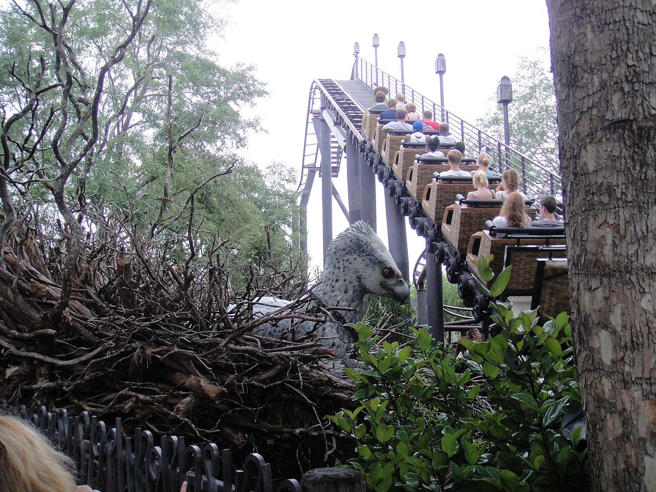 Flight of the Hippogriff