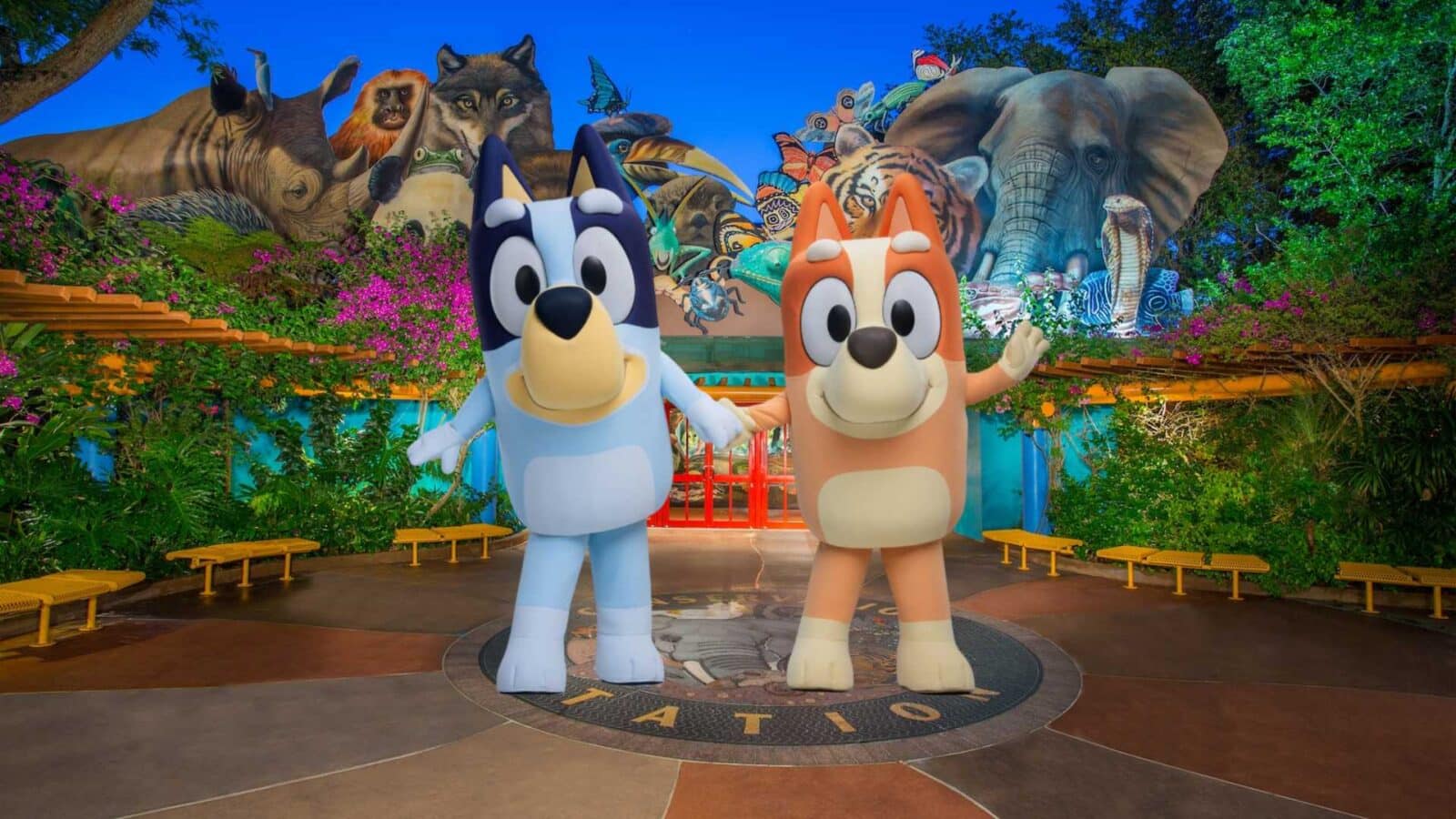 Bluey and Bingo coming to Disney&rsquo;s Animal Kingdom