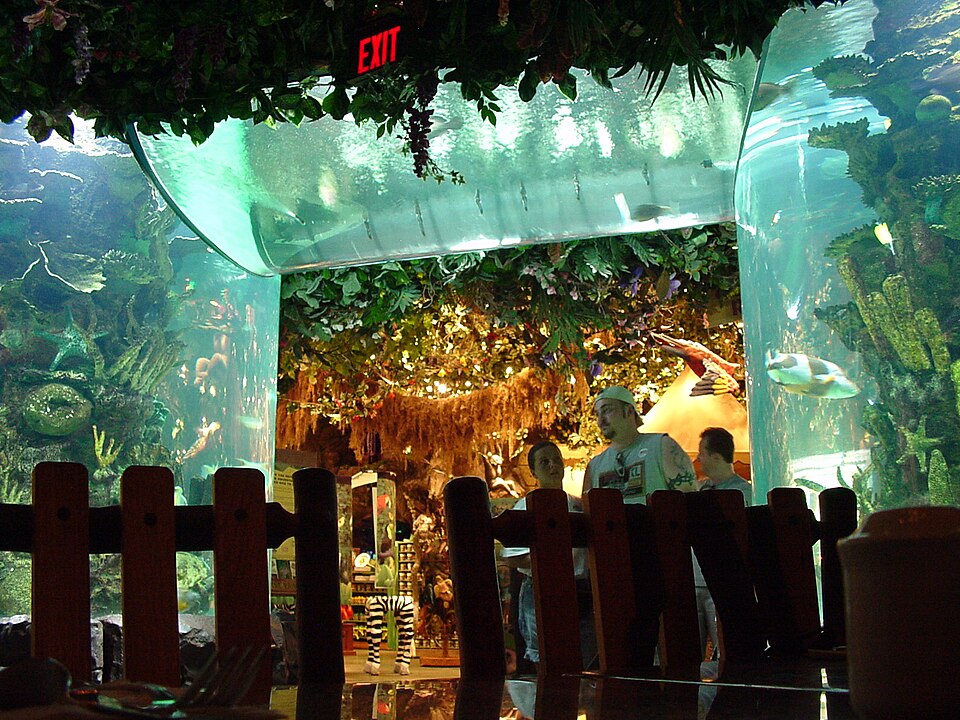 Rainforest Cafe