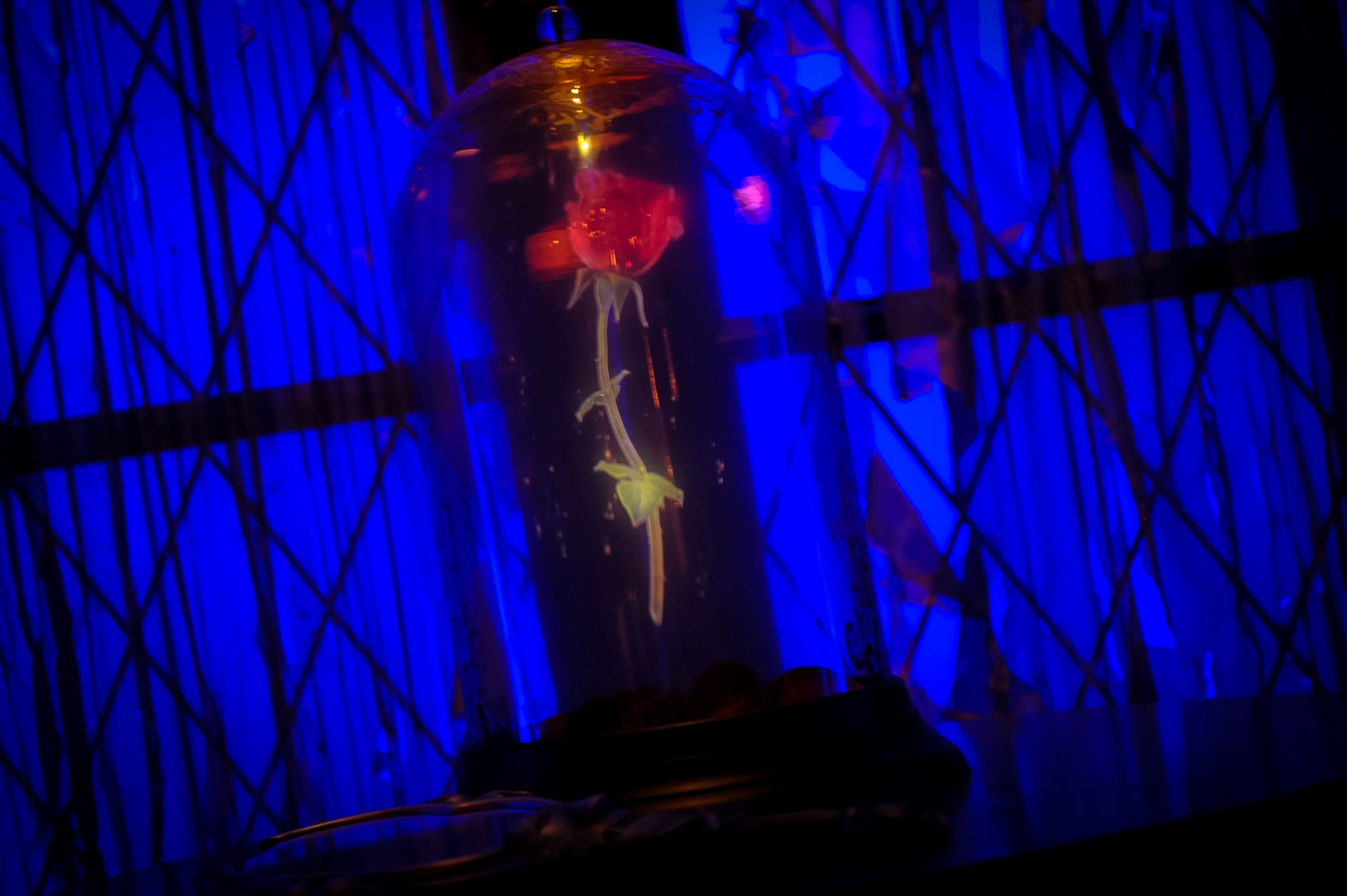 Be Our Guest Restaurant
